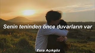 Zeynep Casalini  Duvar Lyrics [upl. by Anay]