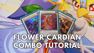 Flower Cardian Combo Tutorial August 2023 TCG Yugioh [upl. by Par]