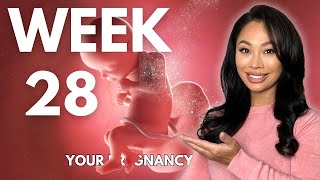 28 Weeks Pregnant  Your Weekby week Pregnancy Guide [upl. by Akeem]