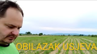 Obilazak usjeva [upl. by Shepp]