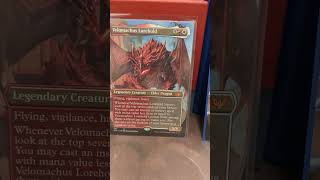 My Commander Decks 2024 magicthegathering mtgcommander [upl. by Collar]