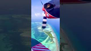 Seaplane experience at Maldives 💙🌊 maldives travelvlog seaplanes trendingshorts [upl. by Nahgiem]