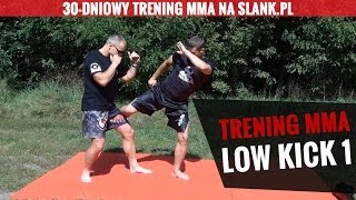 1 Trening Sztuk Walki  kopnięcia  low kick [upl. by Aissenav]