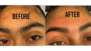 EYEBROW WAXING AFTER 5 WEEKS [upl. by Sprung]