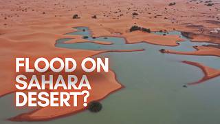 Sahara Desert Floods for First Time in Decades Scientists are PANICKING [upl. by Phillis]