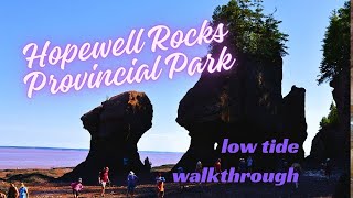 Exploring the Natural Wonder of Hopewell Rocks A Journey Through Time and Tides [upl. by Eirrak]