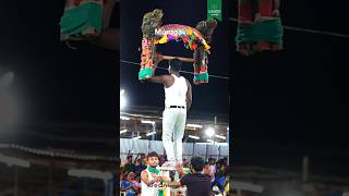 Murugan kavadi attam  God muruga whatsApp status  Murugan  Pasumai Talks shorts [upl. by Gore]