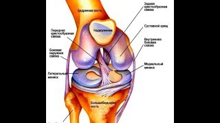 Реабилитация ПКС Как восстановить коленные связки ПКС Пластика крестообразной связки Мениски [upl. by Laryssa]