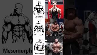 Which one do you have  endomorph ectomorph mesomorph gym [upl. by Swirsky]