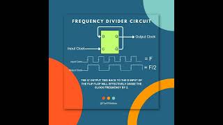 How to implement the Frequency divider circuit by only using Dflipflop [upl. by Marijane]