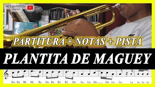 🎺PLANTITA DE MAGUEY🎺 para Trompeta  Notas y Partitura GRATIS PDF [upl. by Almap]