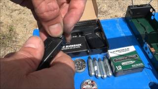 Gamo PT25 First Review with Chrony Pellet Speed test [upl. by Eneloj748]