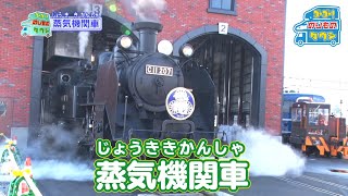 【のりもの図鑑】蒸気機関車 [upl. by Yddub]