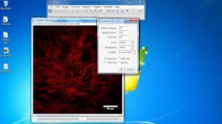 ImageJ Tutorial How to add scale bar [upl. by Nawed896]