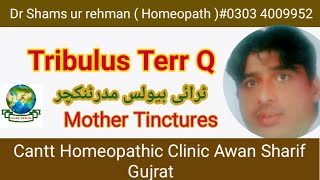 Tribulus Q  Tribulus terristris Q Homeopathic Mother Tincture  Medicine  in Urdu  Hindi [upl. by Elahcar]