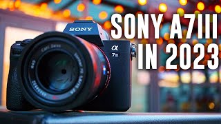 Should You Buy The Sony A7III This Year [upl. by Nahs]