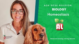 AQA GCSE Biology  Homeostasis Revision  Plant Hormones Triple Only [upl. by Colman892]