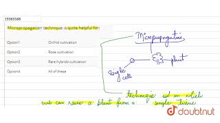 Micropropagation technique is quite helpful for [upl. by Nnylirehs]