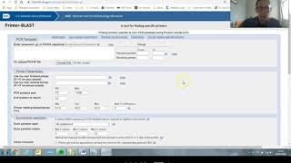 How to use PrimerBlast to create PCR primers [upl. by Rome]