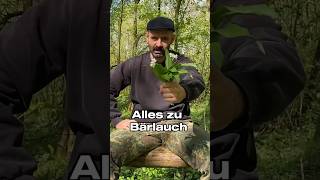 🍃Bärlauch Saison Freunde wildpflanzen [upl. by Parlin]