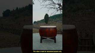 Drum making from wood and cow leather shorts [upl. by Anilrats]