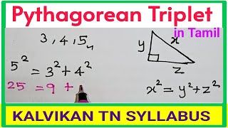 Pythagorean Triplets in Tamil  Class 10  kalvikanTNsyllabus [upl. by Leahcym]