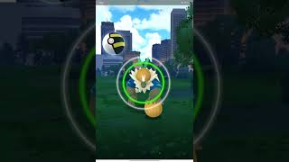 Passimian Shiny In Field Research Event In Pokemongo pokemon shinypokemon [upl. by Coop805]