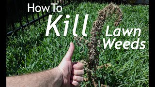 How To Spray Weeds In The Lawn for Beginners  DIY Lawn Tips Part 2 [upl. by Aneloc973]