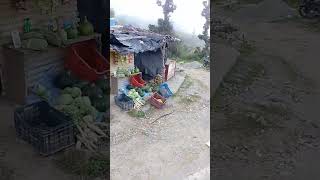 😍🥰Murena top view 😍🥰 song nature पहाड़ीlife viralpahadisong [upl. by Lienhard]