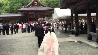 Traditional Japanese Wedding Part 1 at Tsuruoka Hachimangu Temple Kamakura Japan [upl. by Aloivaf]