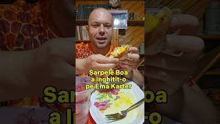 Sarpele Boa a Inghitito pe Ema Karter Mukbang Romania ASMR [upl. by Ethelyn518]