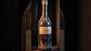 Oldest wine bottles wine photography [upl. by Eittol]