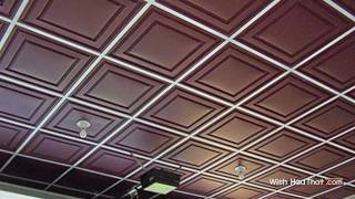 Thermoform Vinyl Ceiling Tiles  WishiHadThatcom [upl. by Suchta182]