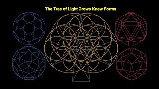 The Sacred Geometry of The Tree of LightThe Next Level of Platonic and Archimedean Solids [upl. by Wyndham403]