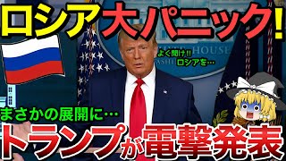 【ゆっくり解説】トランプが電撃発表！ロシア全土が大パニック状態・・【ゆっくり軍事プレス】 [upl. by Teodoor]