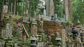 Okunoin cemetery [upl. by Guria158]