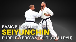 Seiyunchin basic bunkai for grading purple and brown belt [upl. by Gurtner]