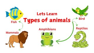 Types of Animals for Kids  Types of Animals for Kindergarten  Mastering Animal Classification [upl. by Letch]