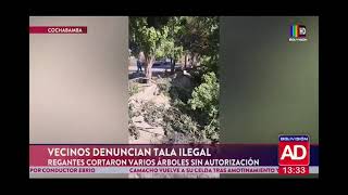 ¡Vecinos denuncian tala ilegal [upl. by Carman]