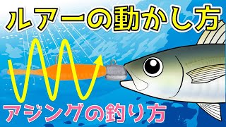 【アジングの釣り方】ルアーの動かし方 ジグ単の基本アクション [upl. by Alarice263]