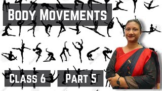 Class 6 Science  Chapter 5  Body Movements  NCERT  Part 5 [upl. by Mutua307]