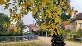 Mein Stadtpark im Herbst 23102024 Осенний городской парк [upl. by Pish]