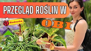 Przegląd roślin w OBI 🧡 Leroy Merlin 💚 Kwiaciarnia 🐞🌿Roślinny VLOG 🌱 Gosia i Miłosz Vlog [upl. by Amitie]