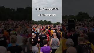 Bushy Parkrun 1000 had 6000 runners parkrun parkruntourism run running [upl. by Lenox879]