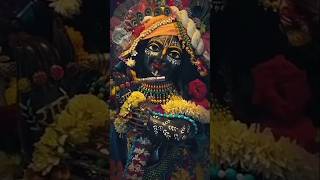 vrindavan krishna trending viral shorts shortsfeed krishnabhajan youtubeshorts [upl. by Itnuahsa]