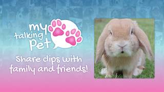 My Talking Pet app for iPhoneiPad and Android [upl. by Aizirtap745]