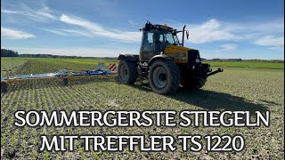 Sommergerste striegeln mit Treffler TS 1220 am JCB [upl. by Llenet320]