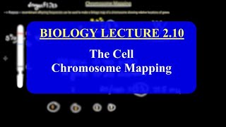 IMAT Biology Lesson 210  The Cell  Chromosome Mapping [upl. by Anifad194]