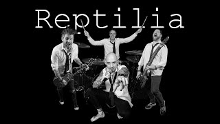 Reptilia  The Strokes Reptilia the Band Live Cover [upl. by Llerrud978]