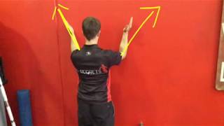 Lower Trapezius amp Serratus Anterior Activation Drills For Retraining Shoulder Function [upl. by Laumas69]